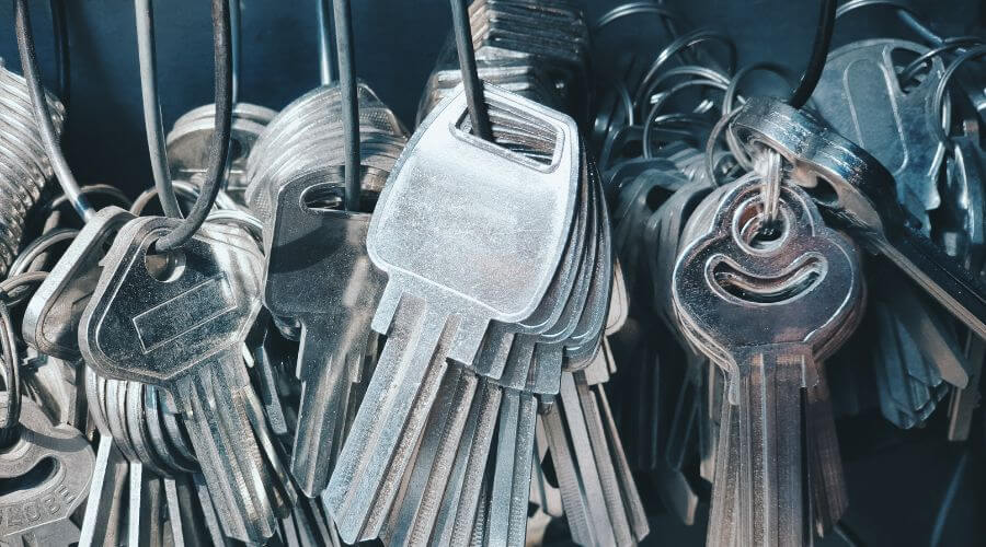 Professional gutter cleaning in Castle Rock, CO